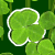4 Leaf Clover (67.7 Ko)