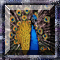 BuZZ-BoKS Squares - Peacock (1.73 Mio)