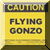 Flying Gonzo (880.41 Ko)