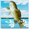 Bass Fishing Pro (642.61 Ko)