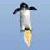 Penguin Flight (237.86 Ko)