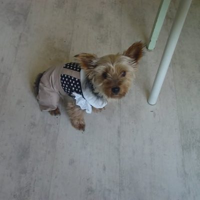 Avatar de zibulon