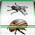 5 Reel Insect Slots (114.3 Ko)