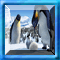 Swing And Set Happy Feet (1.19 Mio)