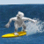 Big Wave (877.9 Ko)
