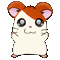 Avatar de l’utilisateur